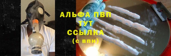 мдпв Новозыбков