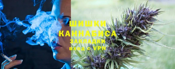 дурь Новодвинск