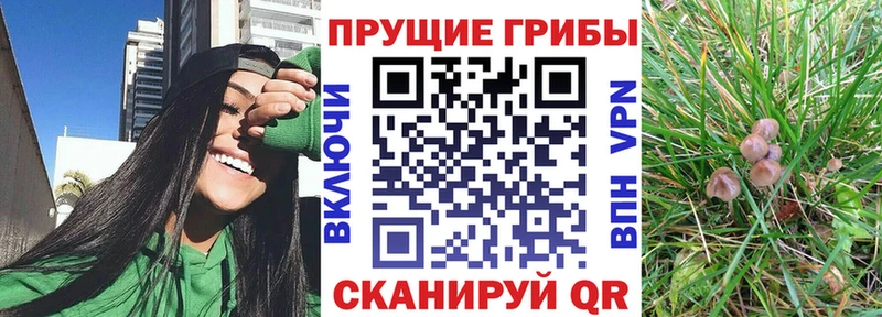 гидра онион Лянтор Псилоцибиновые грибы мицелий